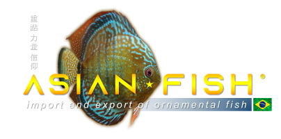 AsianFish_v1 logo